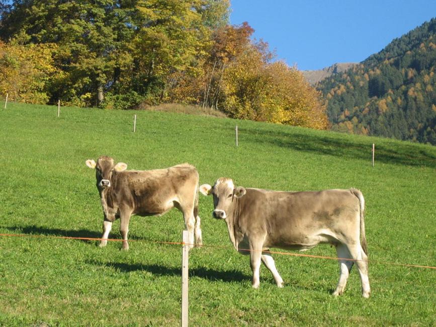Mantingerhof Apartments Funes  Zewnętrze zdjęcie